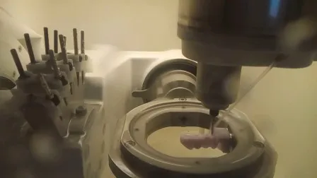 B55 (55*19*15mm) シロナセレック用二ケイ酸リチウムブロック
